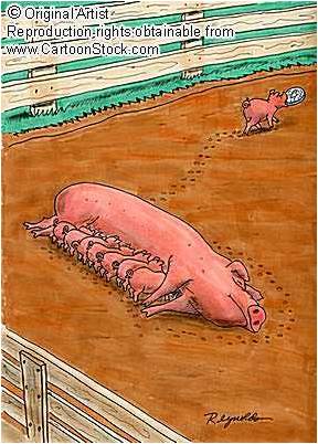 piggybank Are Your Little Piggies Walking Away with The Bank?